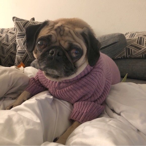 Emmy and Ken $8 Plus Size Pallet Unboxing - Picture 4 of 5